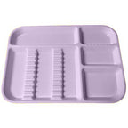 Instrument Trays (Plasdent)