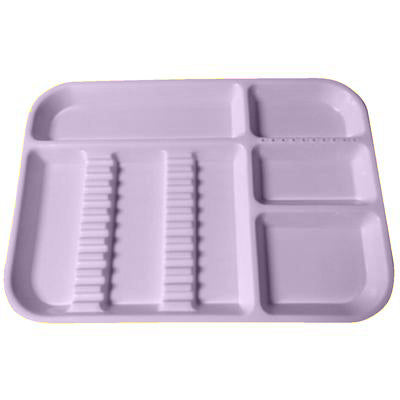 Instrument Trays (Plasdent)