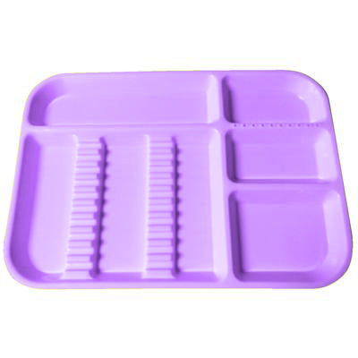 Instrument Trays (Plasdent)
