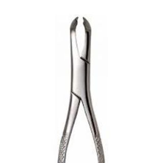 Extracting Forcep (Professional Surgical Instruments)